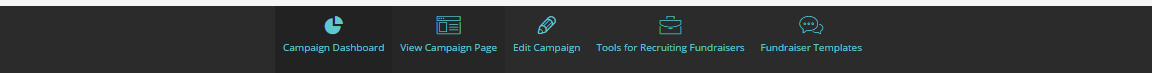 screenshot of peer-to-peer campaign main menu